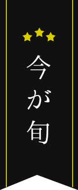 今が旬
